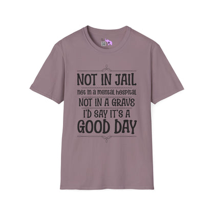 Not In A Jail/Mental Hospital/Dead I'd Say It's A Good Day Adult T-shirt