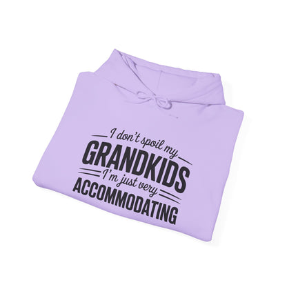 I Don't Spoil My Grandkids I'm Just Very Accommodating Heavy Blend™ Hooded Sweatshirt