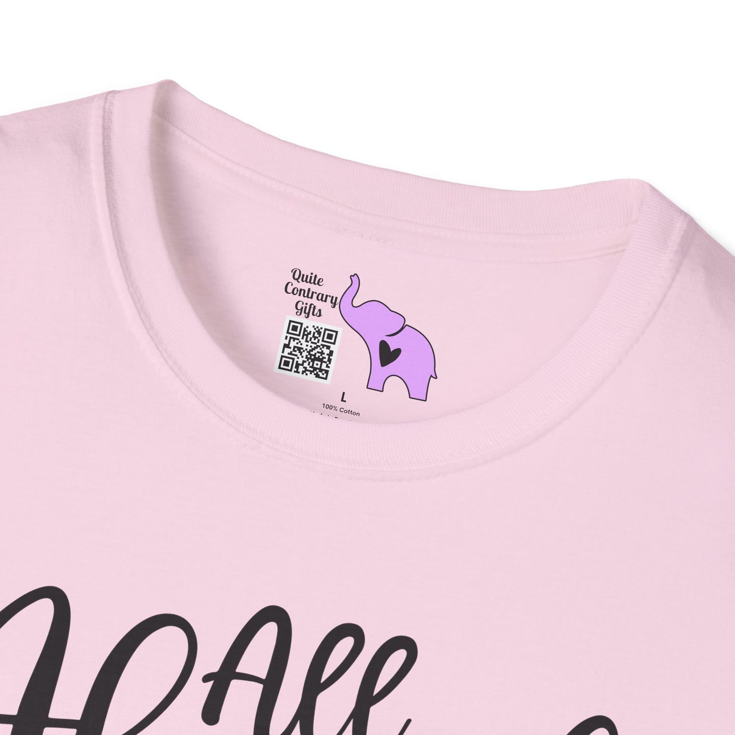 All Aboard The Hot Mess Express Adult T-shirt