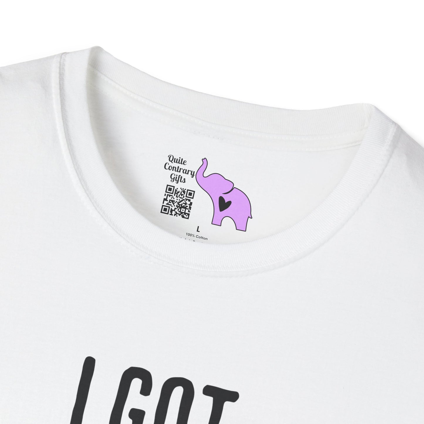 I Got Mood Poisoning Must Have Been Something I Hate Adult T-shirt