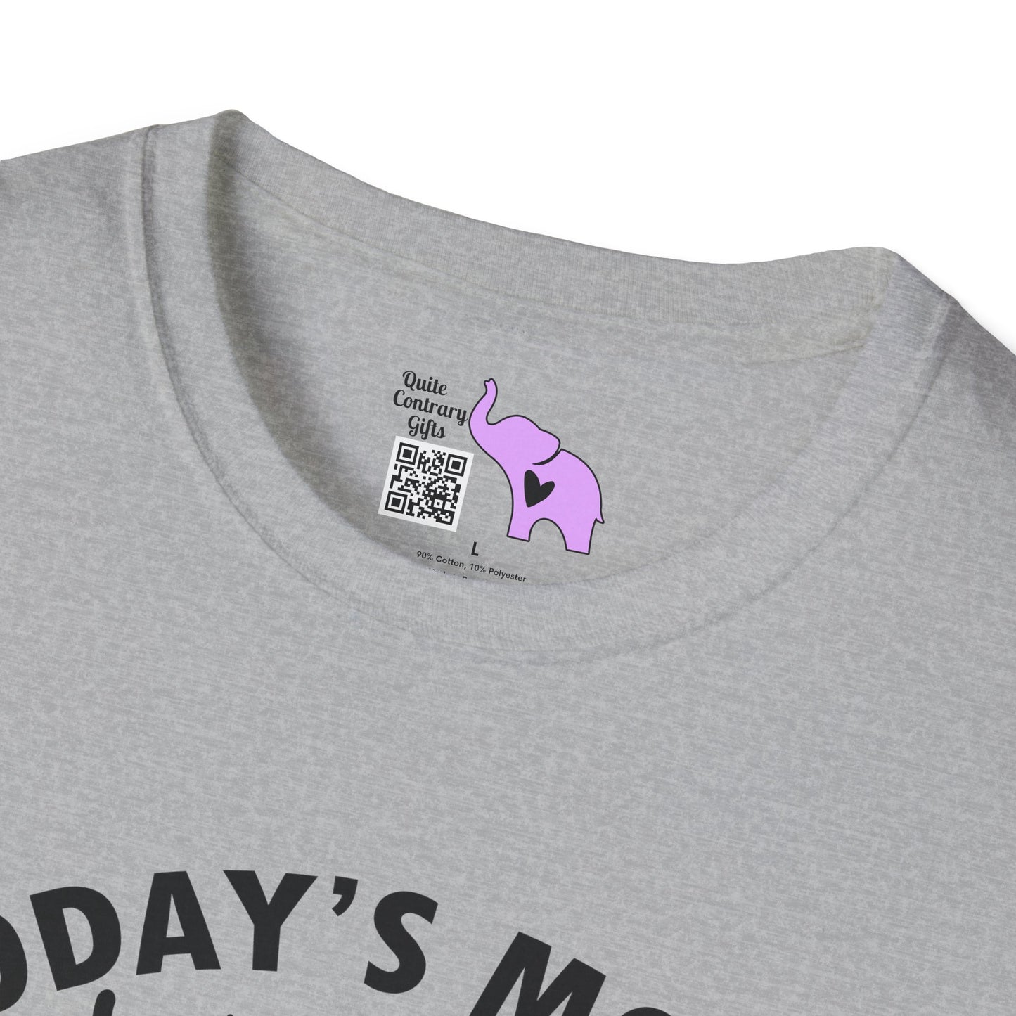 Today's Mood Witchy With A Chance of Sarcasm Adult T-shirt