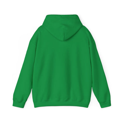 Naughty; Nice; I Tried Adult Heavy Blend™ Hooded Sweatshirt