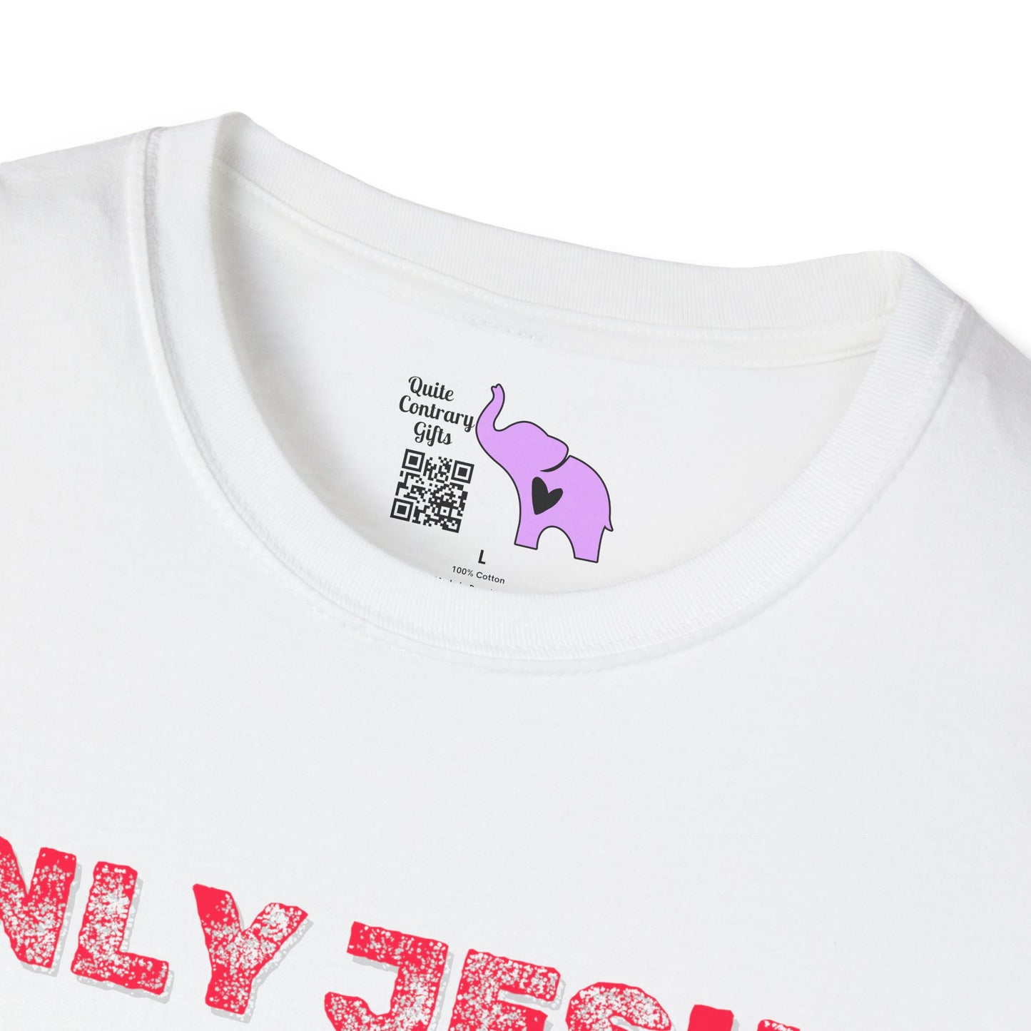 Only Jesus Adult T-shirt