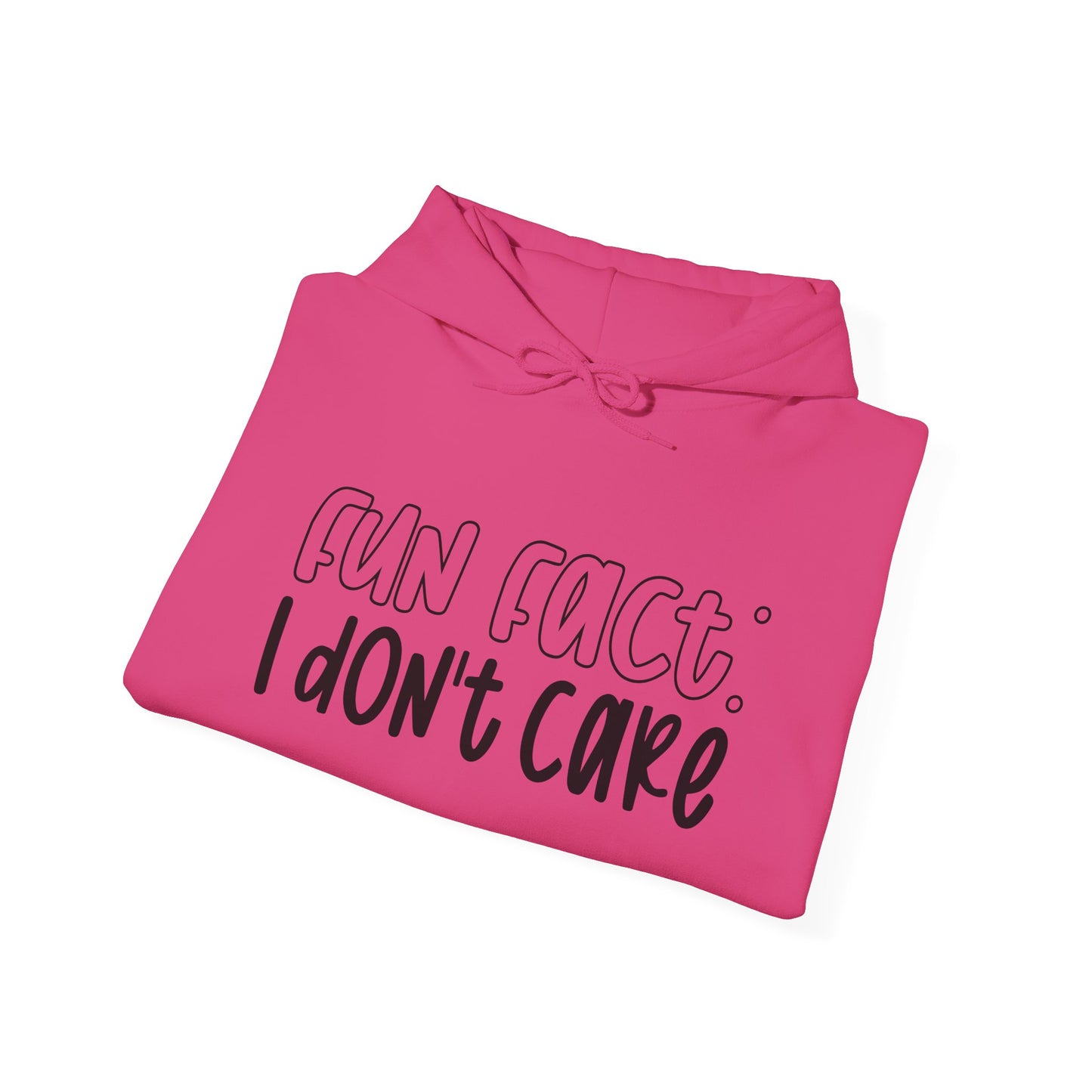 Fun Fact I Don't Care Adult Heavy Blend™ Hoodie