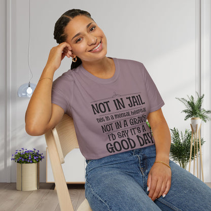 Not In A Jail/Mental Hospital/Dead I'd Say It's A Good Day Adult T-shirt
