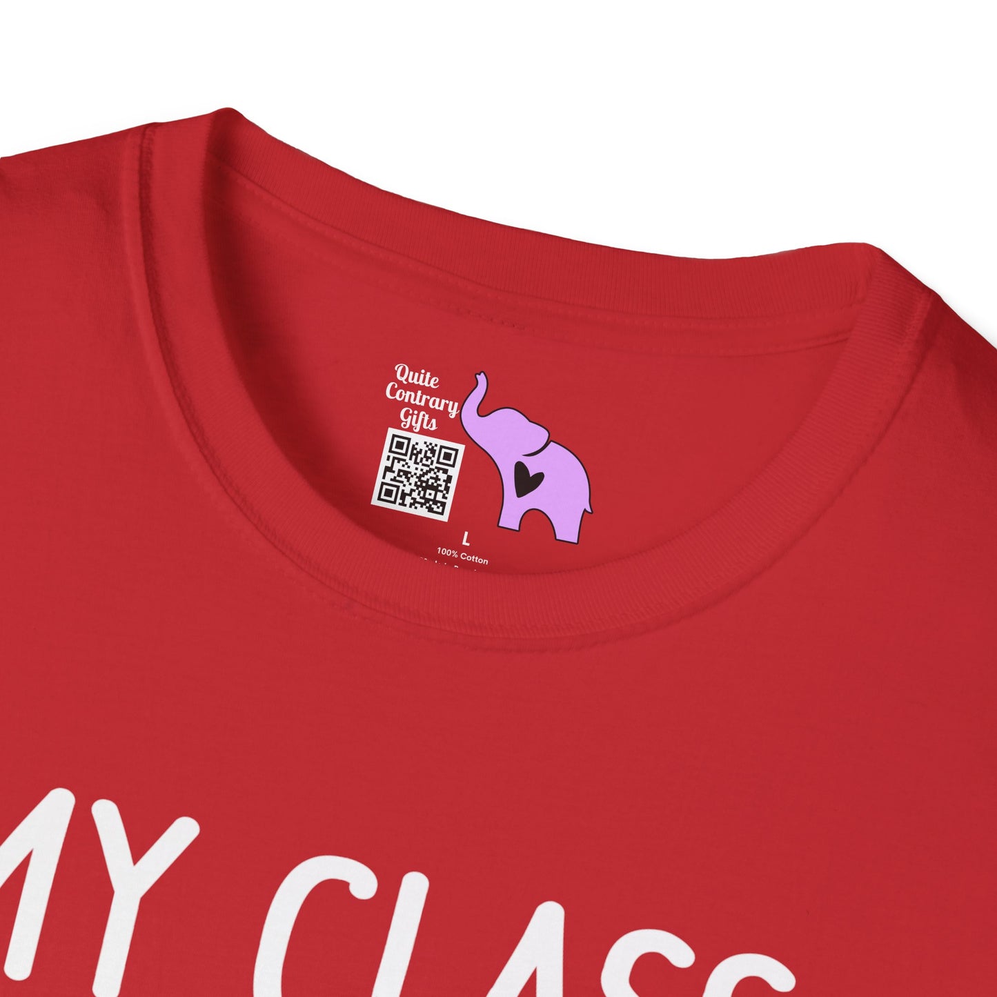 My Class is Full of Sweet Hearts Adult T-shirt