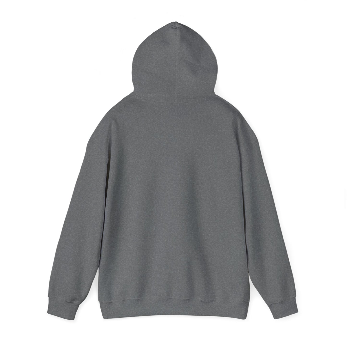 Colorful Cameral Lens Heavy Blend™ Hooded Sweatshirt