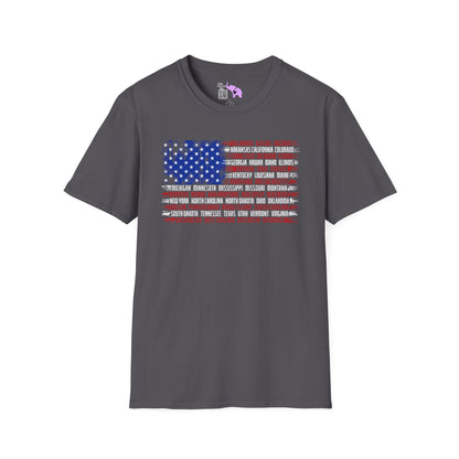 American Flag w/States Horizontal Adult Tshirt