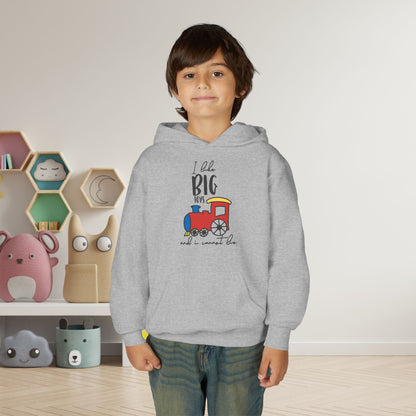I LIke Big Toys and I Cannot Lie Youth Heavy Blend Hoodie
