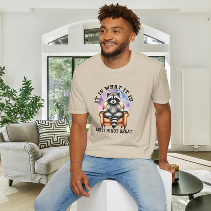 It Is What It Is And It's Not Great Raccoon Adult T-shirt