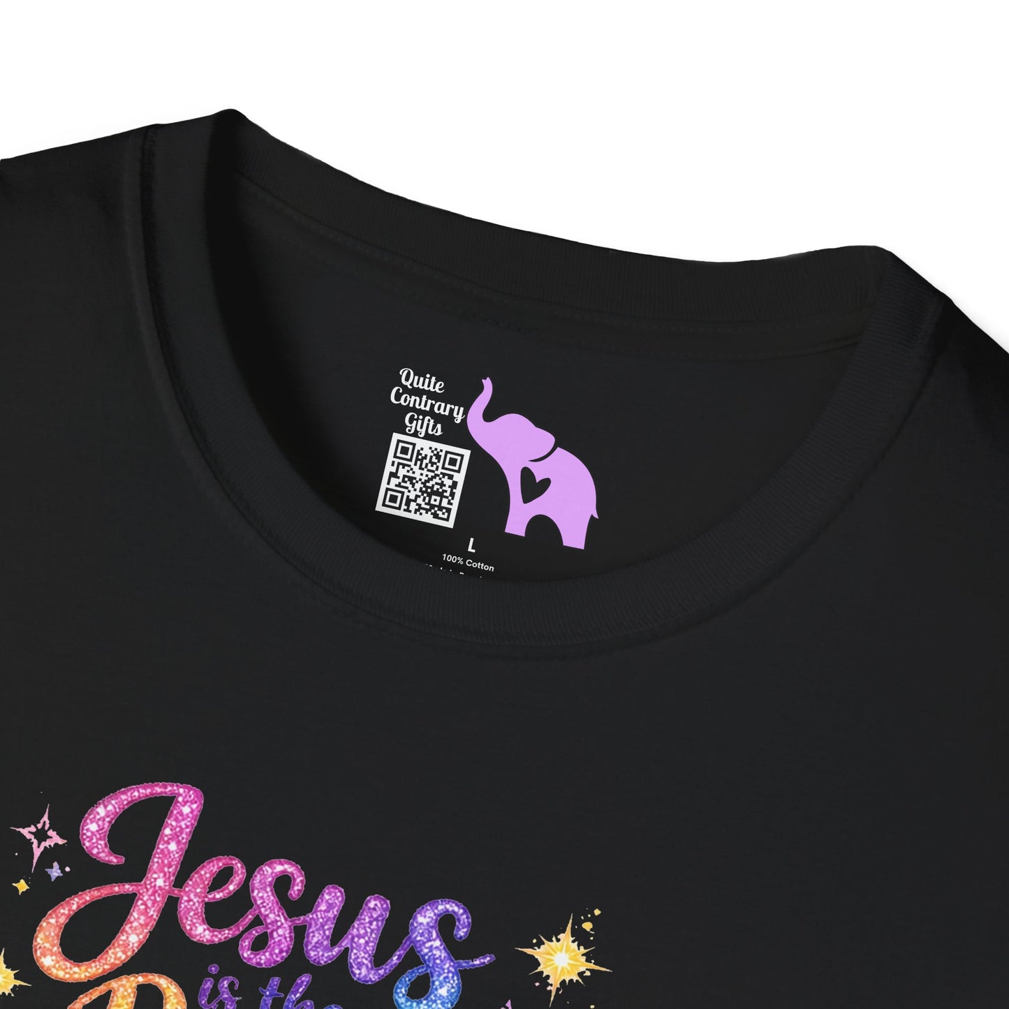 Jesus Is The Reason Adult T-shirt
