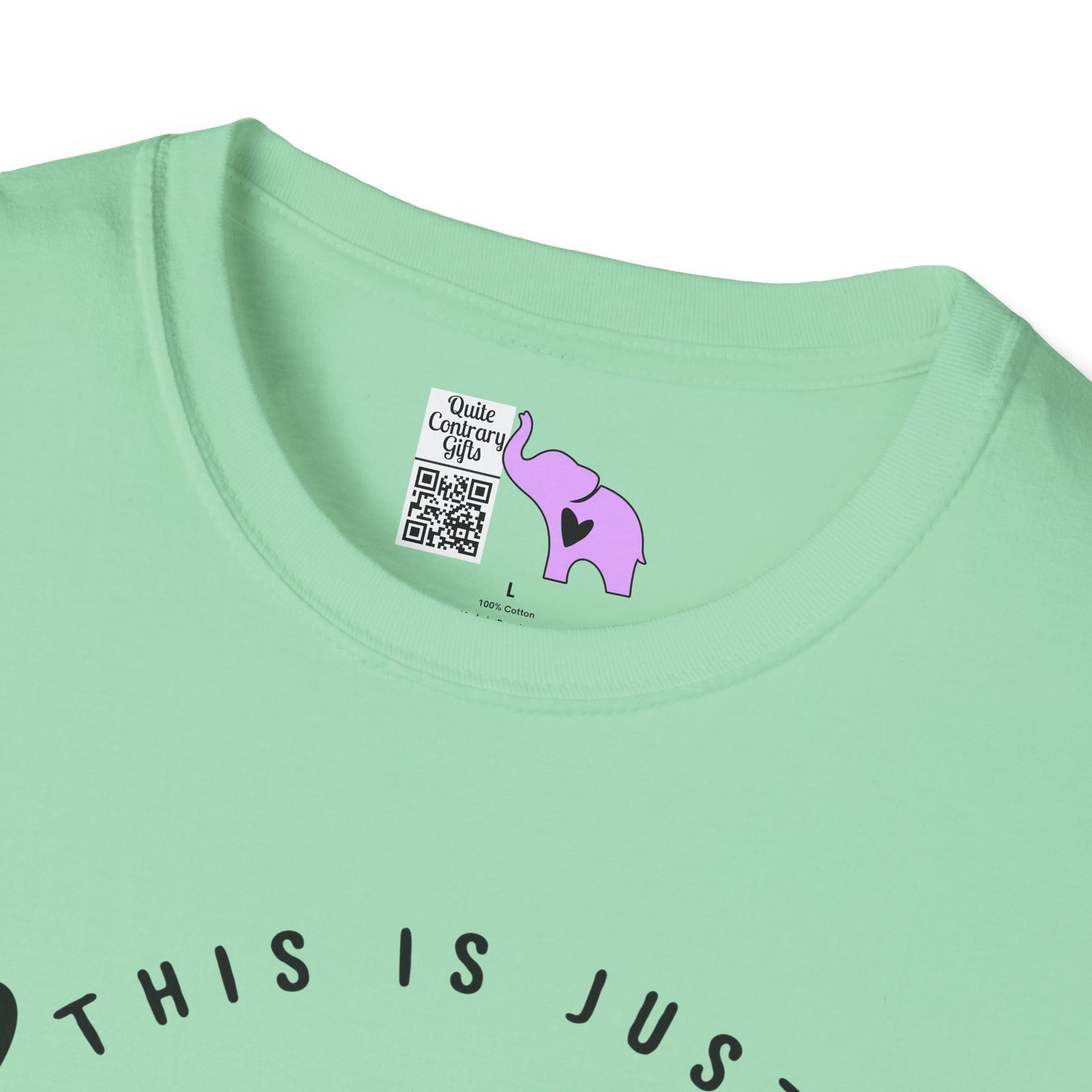 This is Just a Chapter Not The Whole Story Adult T-shirt