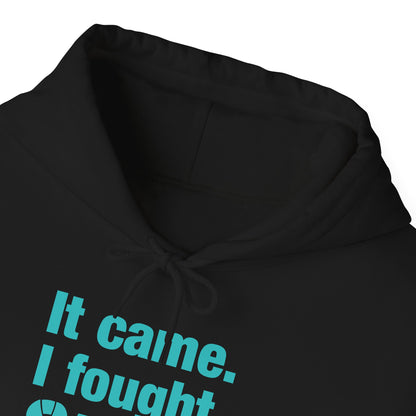 It Came I Fought I Won Cervical Cancer Awareness Adult Heavy Blend™ Hoodie