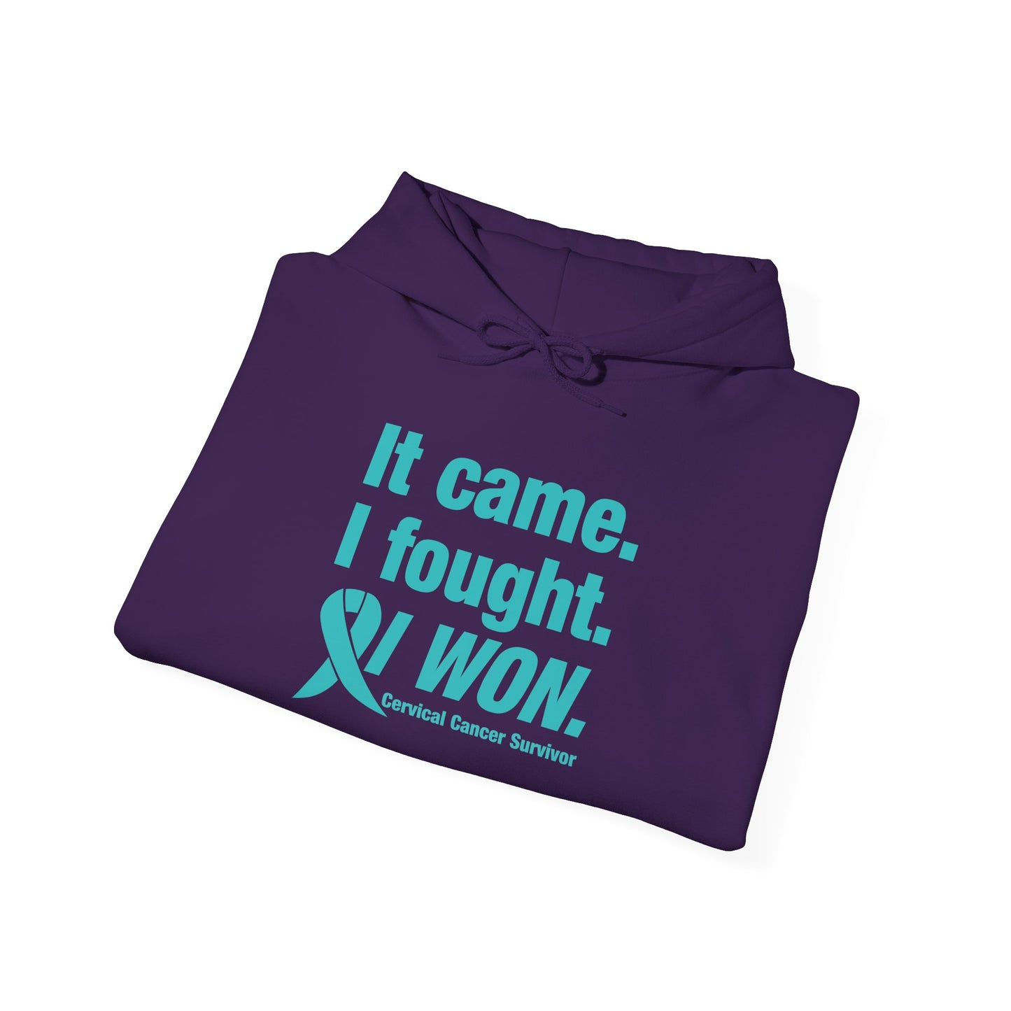 It Came I Fought I Won Cervical Cancer Awareness Adult Heavy Blend™ Hoodie