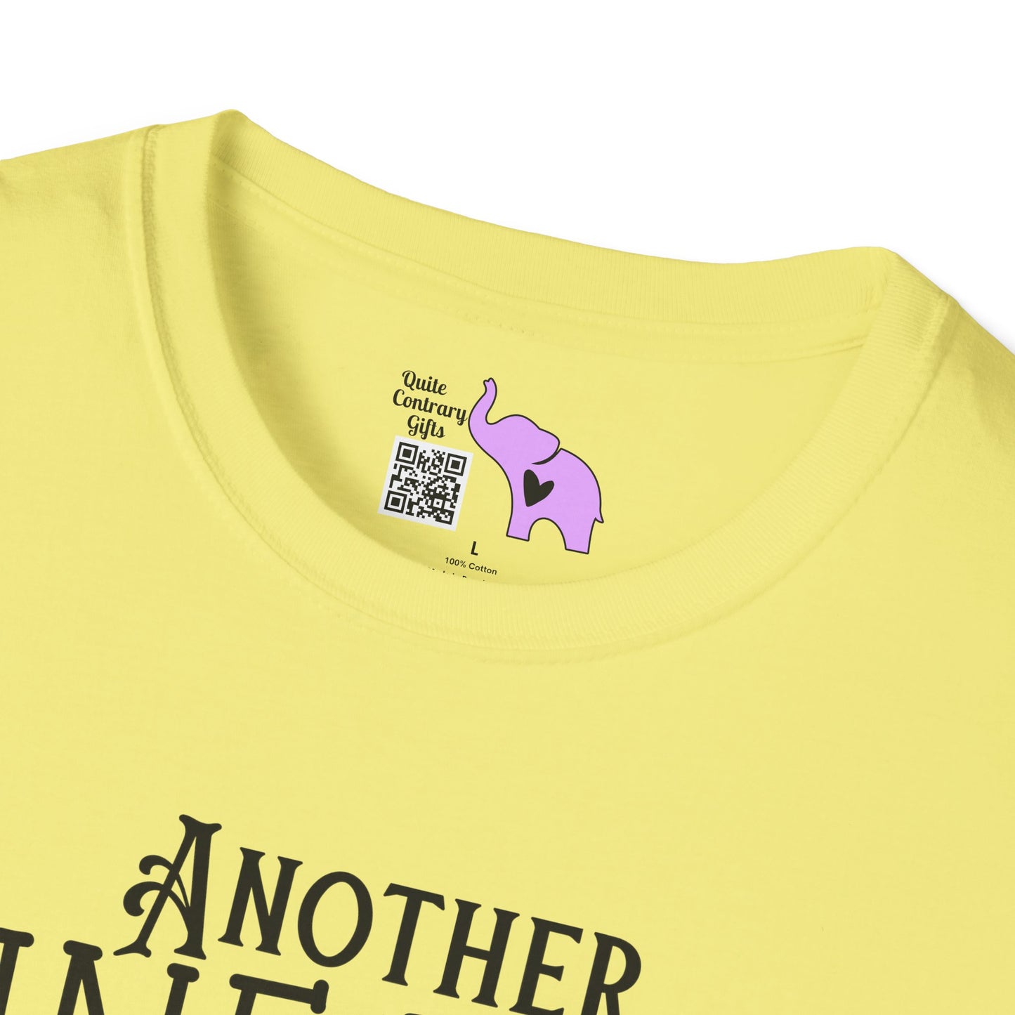 Another Fine Day Ruined By Adulthood Adult T-shirt