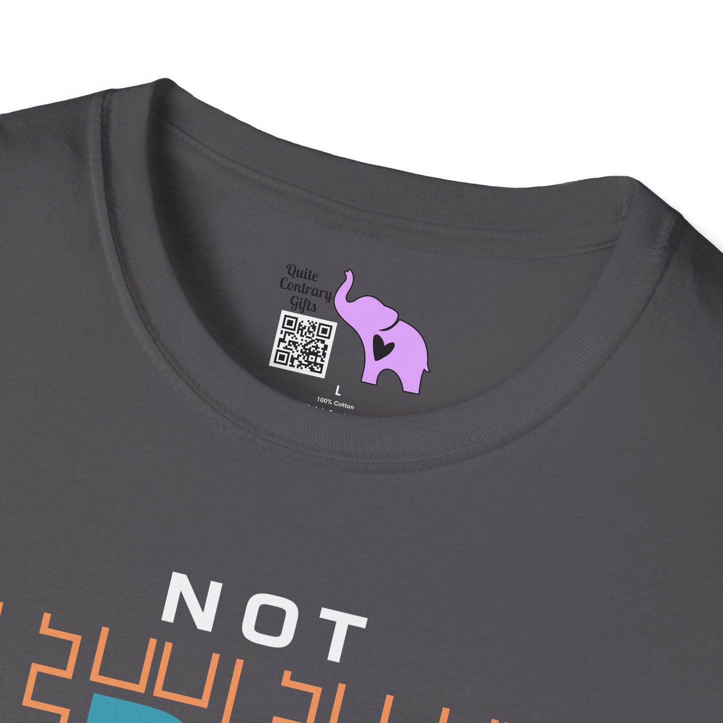 Not Perfect Just Forgiven Adult T-shirt