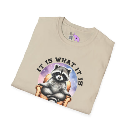 It Is What It Is And It's Not Great Raccoon Adult T-shirt