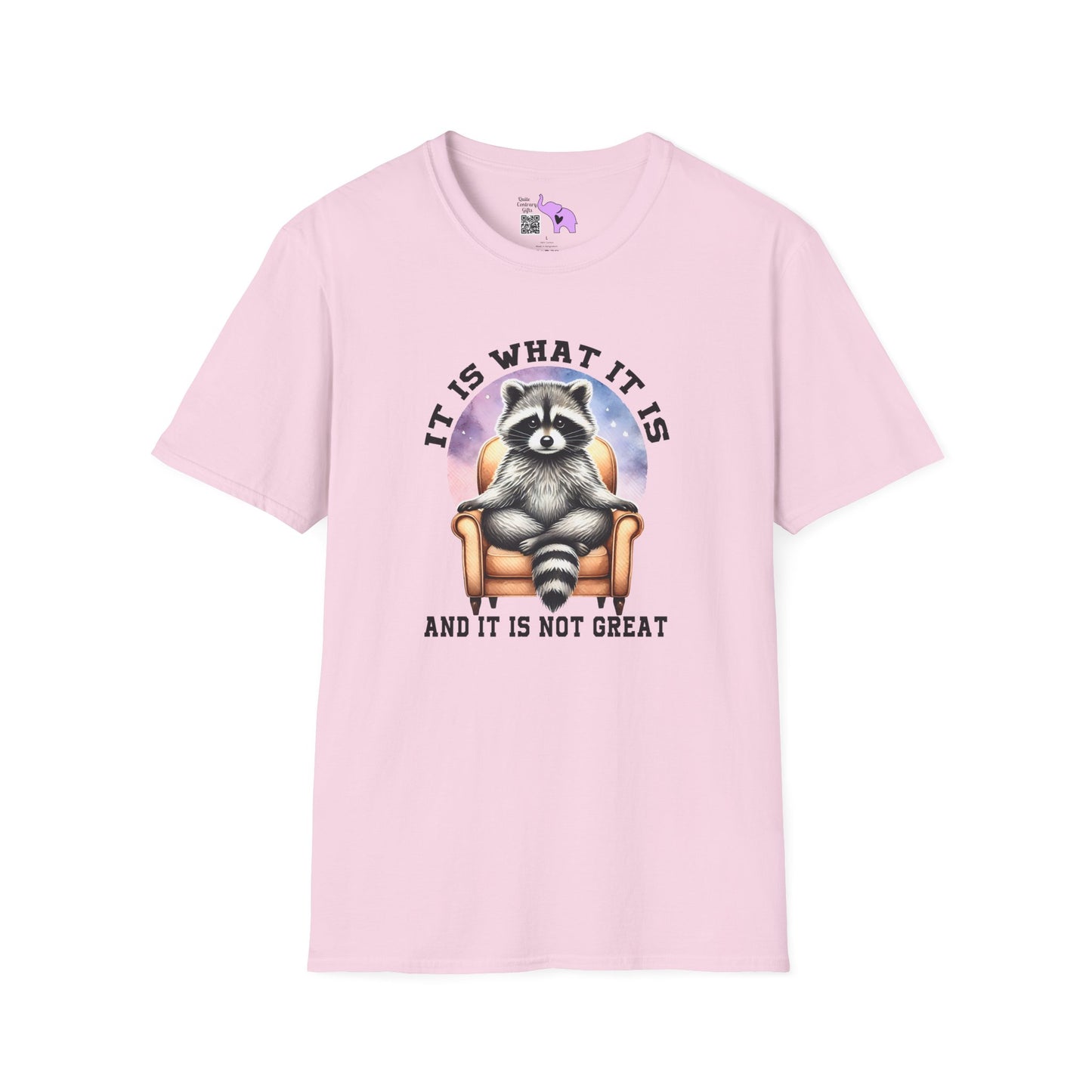 It Is What It Is And It's Not Great Raccoon Adult T-shirt