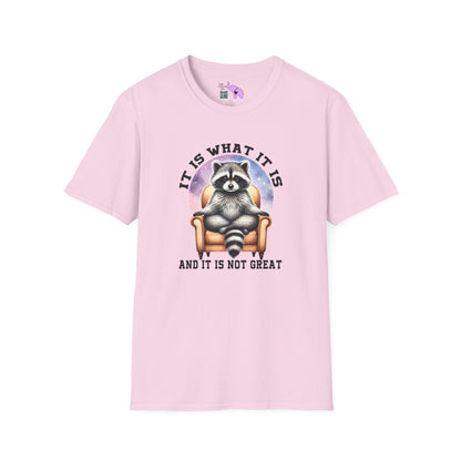 It Is What It Is And It's Not Great Raccoon Adult T-shirt