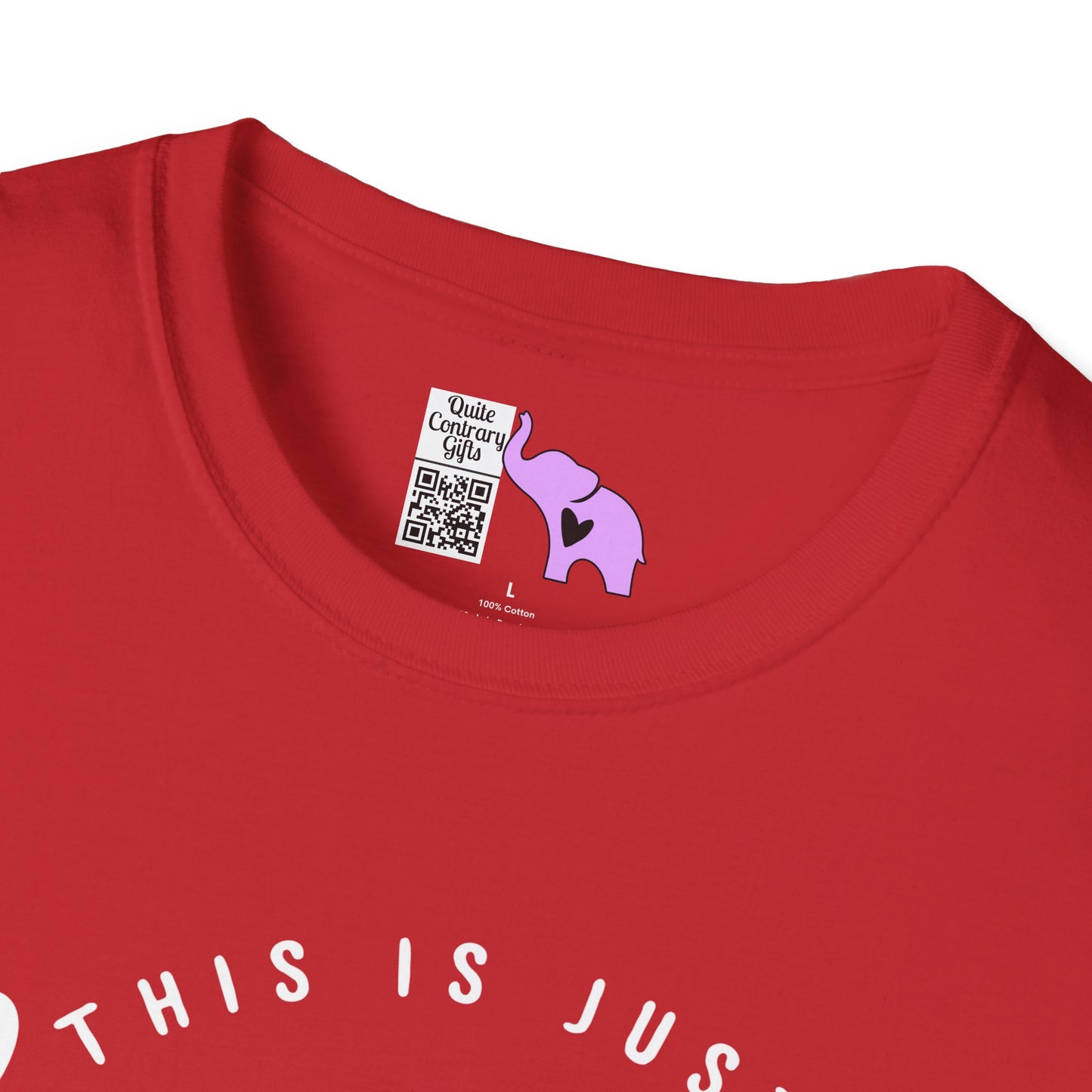 This is Just a Chapter Not The Whole Story Adult T-shirt