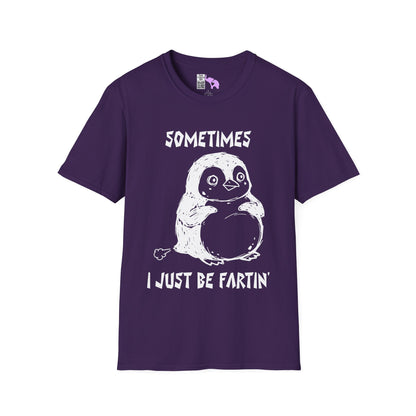 Sometimes I Just Be Fartin' Adult T-shirt