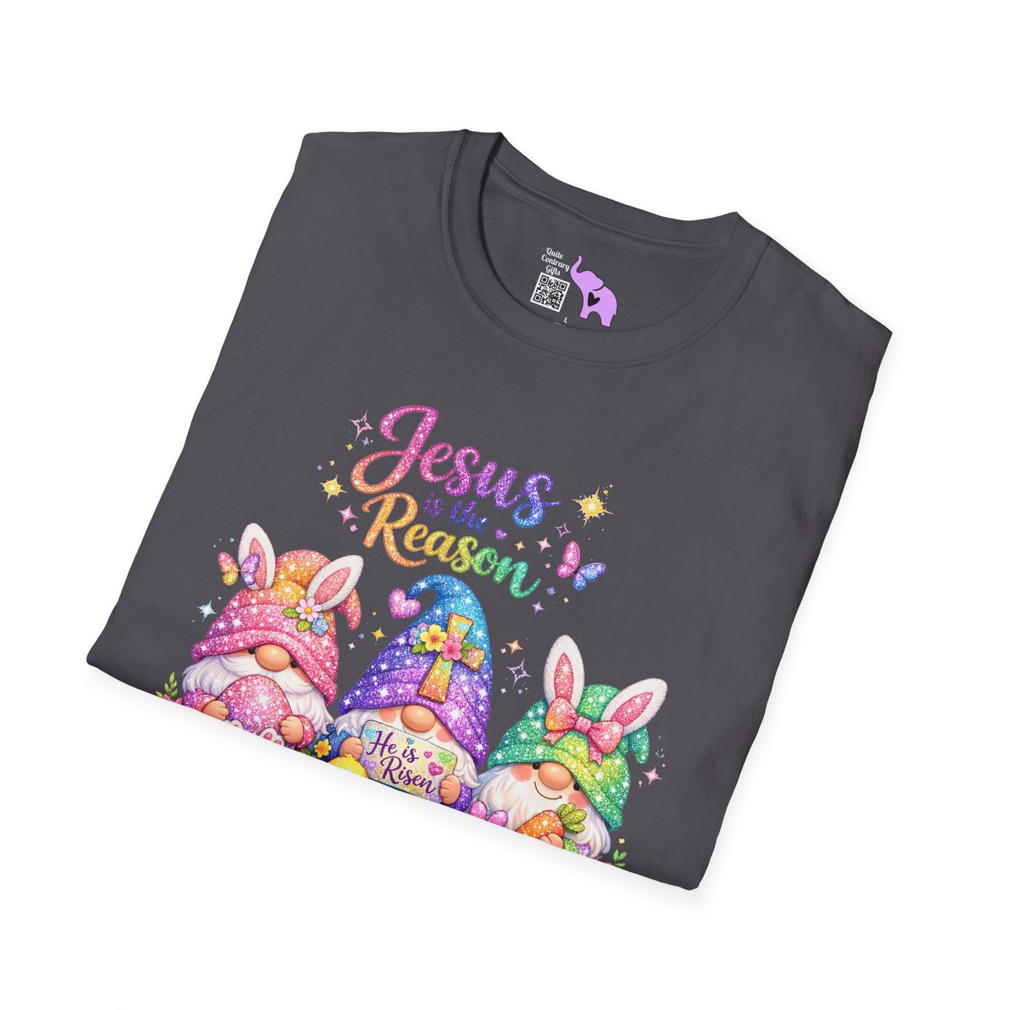 Jesus Is The Reason Adult T-shirt