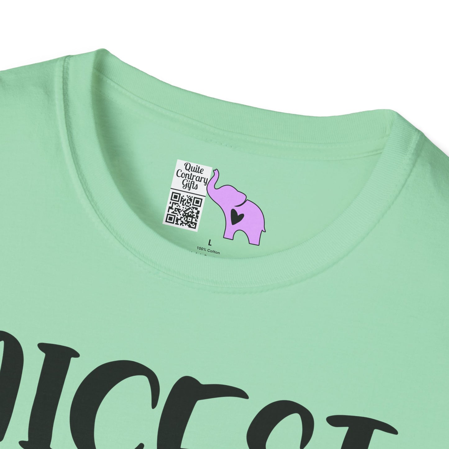 Nicest Mean Person Ever Adult T-shirt