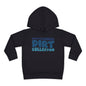 Professional Dirt Collector Toddler Hoodie