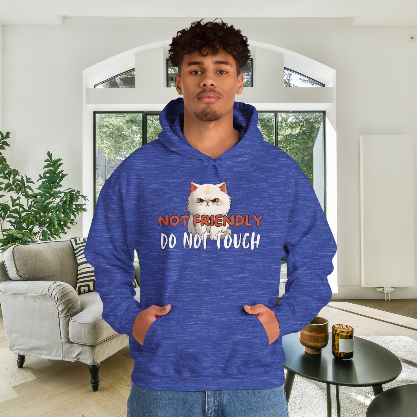 Not Friendly Do Not Touch Cat Heavy Blend™ Hooded Sweatshirt