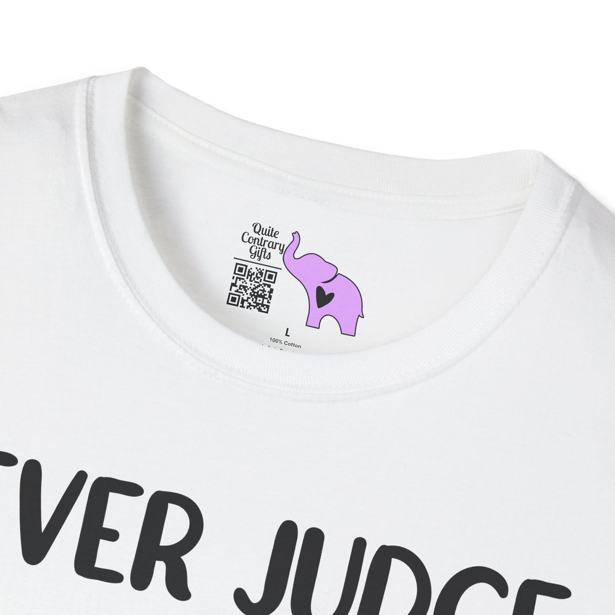 Never Judge Someone By The Visibility Of Their Illness Adult T-shirt