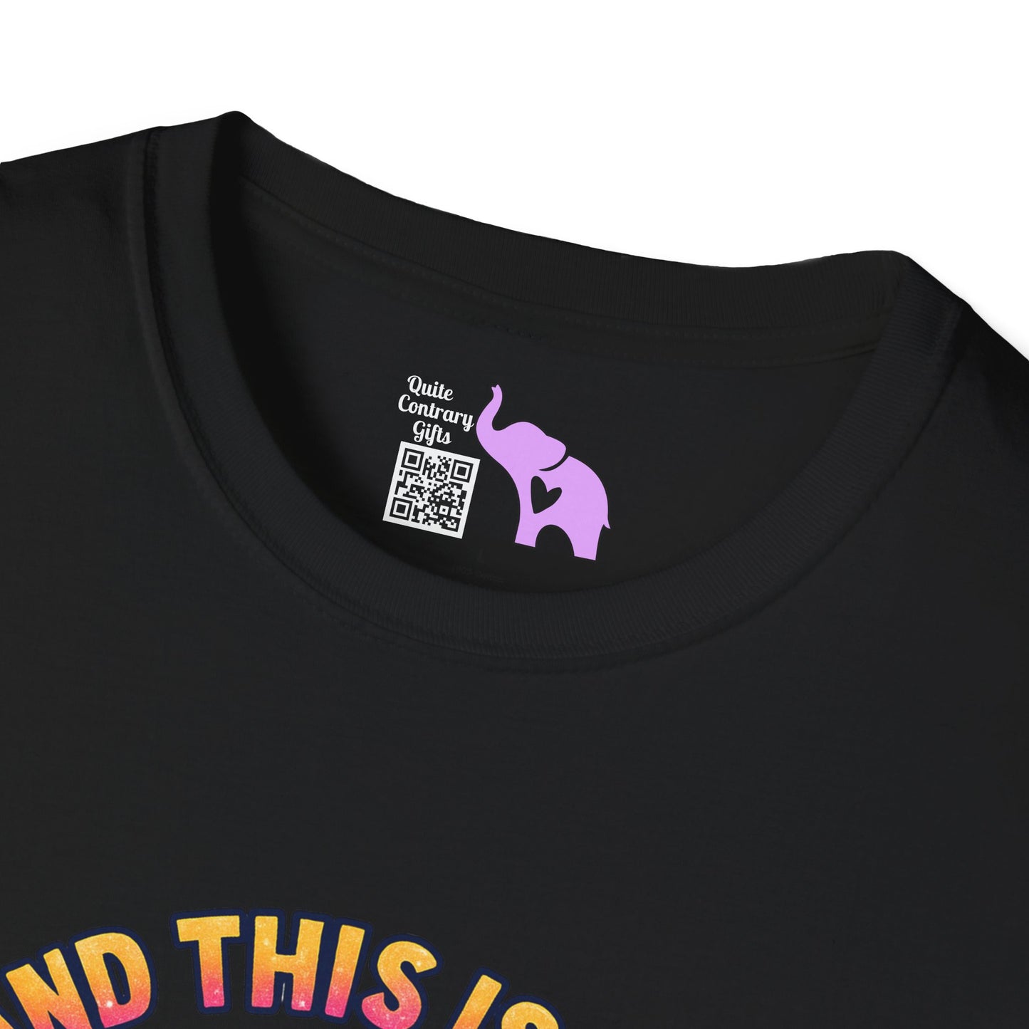 And This Is Why I Wanted To Stay Home... Adult T-shirt