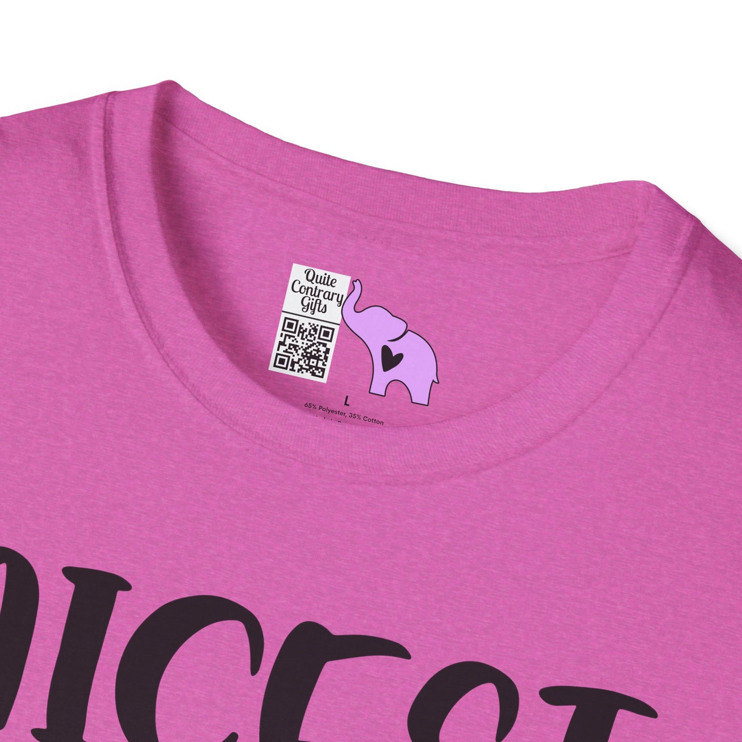 Nicest Mean Person Ever Adult T-shirt