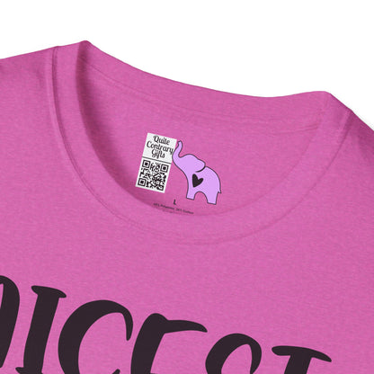 Nicest Mean Person Ever Adult T-shirt
