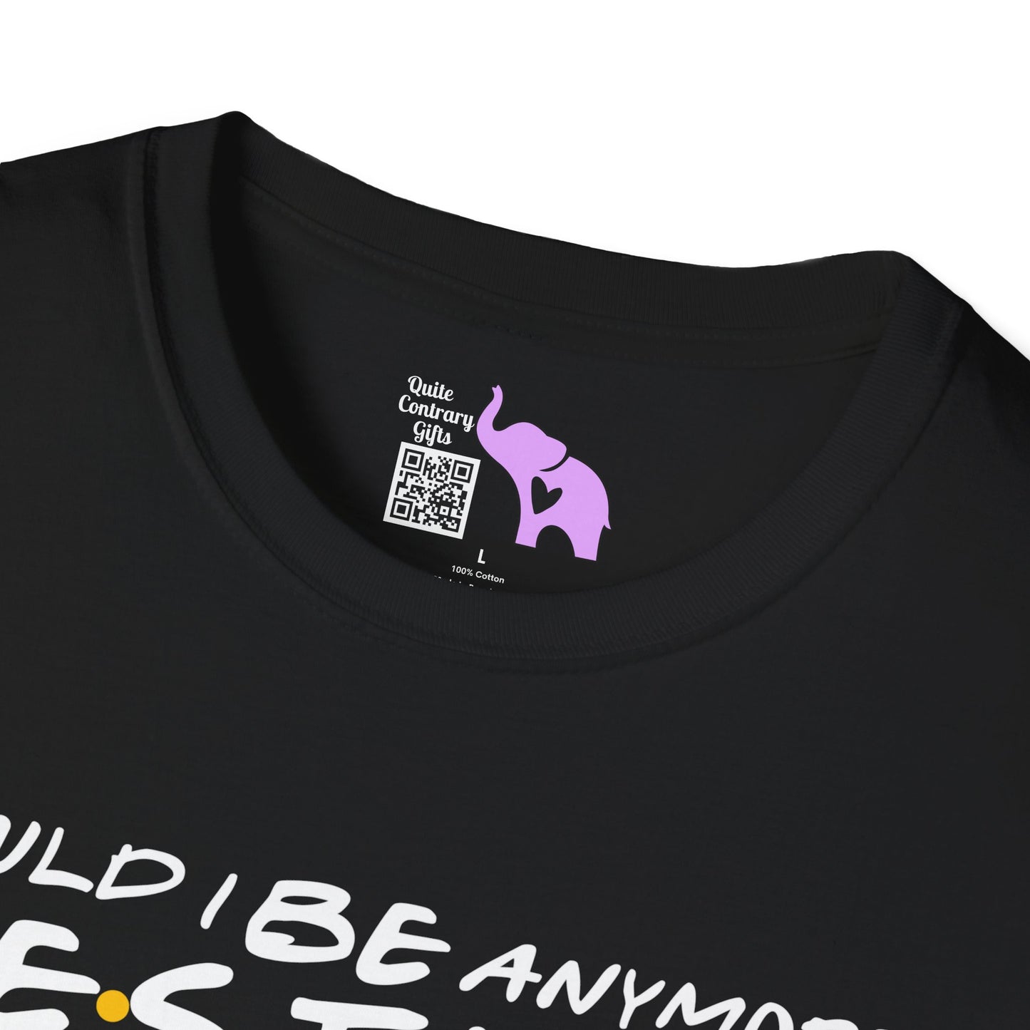 Could I BE Anymore Festive? (Friends, Phoebe's Christmas Song) Adult T-shirt