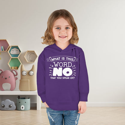 What Is This Word No That You Speak Of? Toddler Hoodie