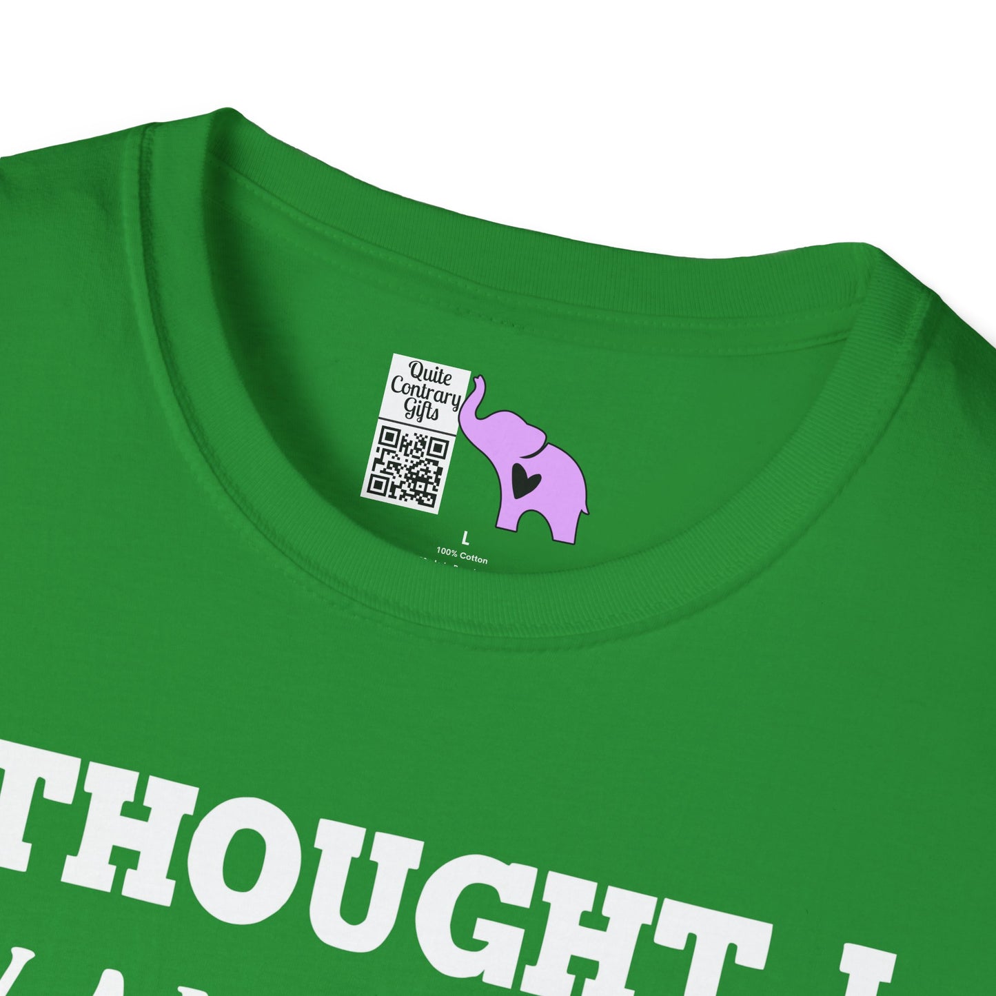 I Thought I Wanted A Career Turns Out I Just Wanted A Paycheck Adult T-shirt