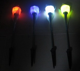 Tulip Solar Garden Lights