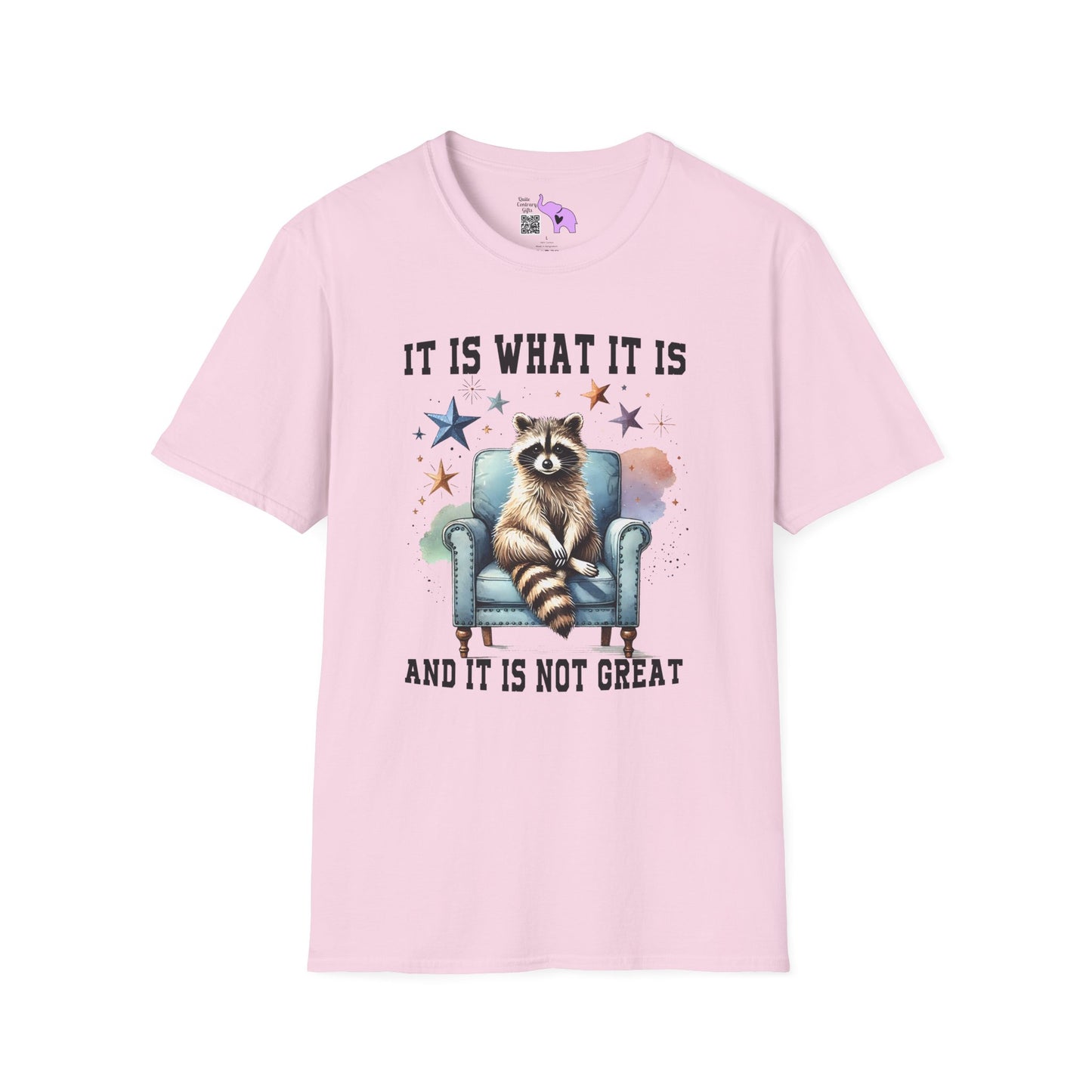 It Is What It Is And It's Not Great Racoon (2) Adult T-shirt