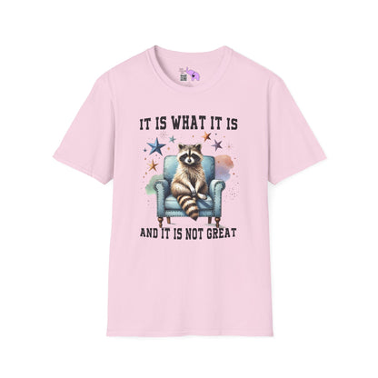 It Is What It Is And It's Not Great Racoon (2) Adult T-shirt