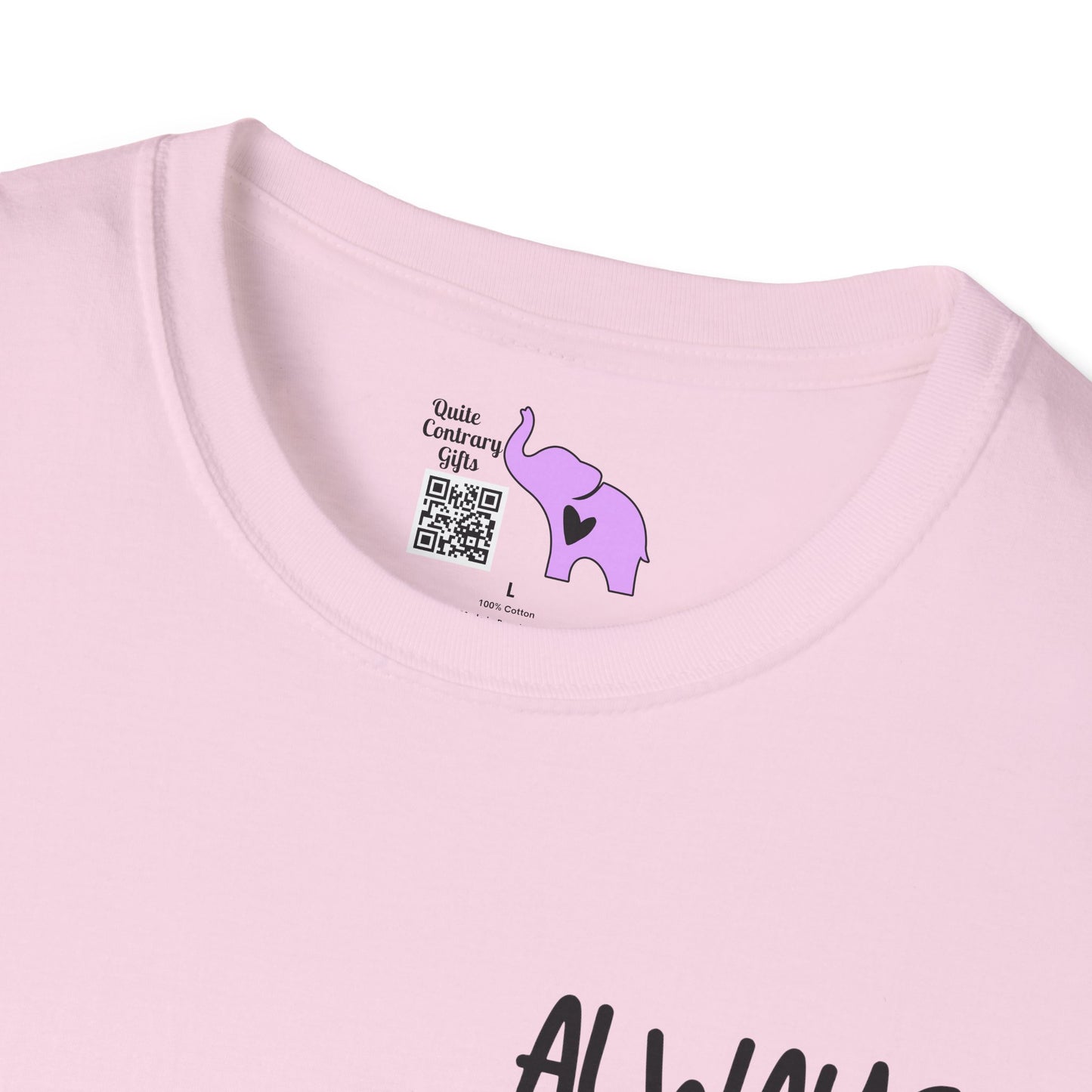 Always Be Kind Adult T-shirt