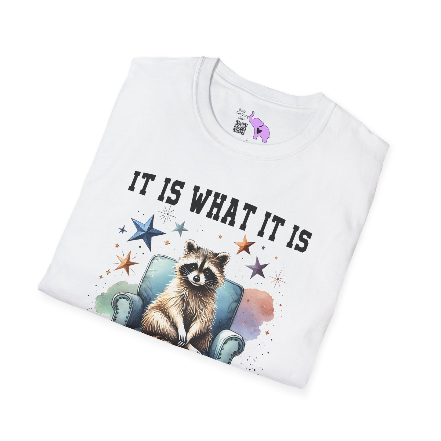 It Is What It Is And It's Not Great Racoon (2) Adult T-shirt