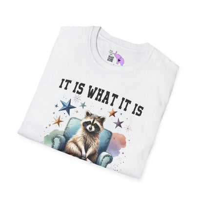 It Is What It Is And It's Not Great Racoon (2) Adult T-shirt