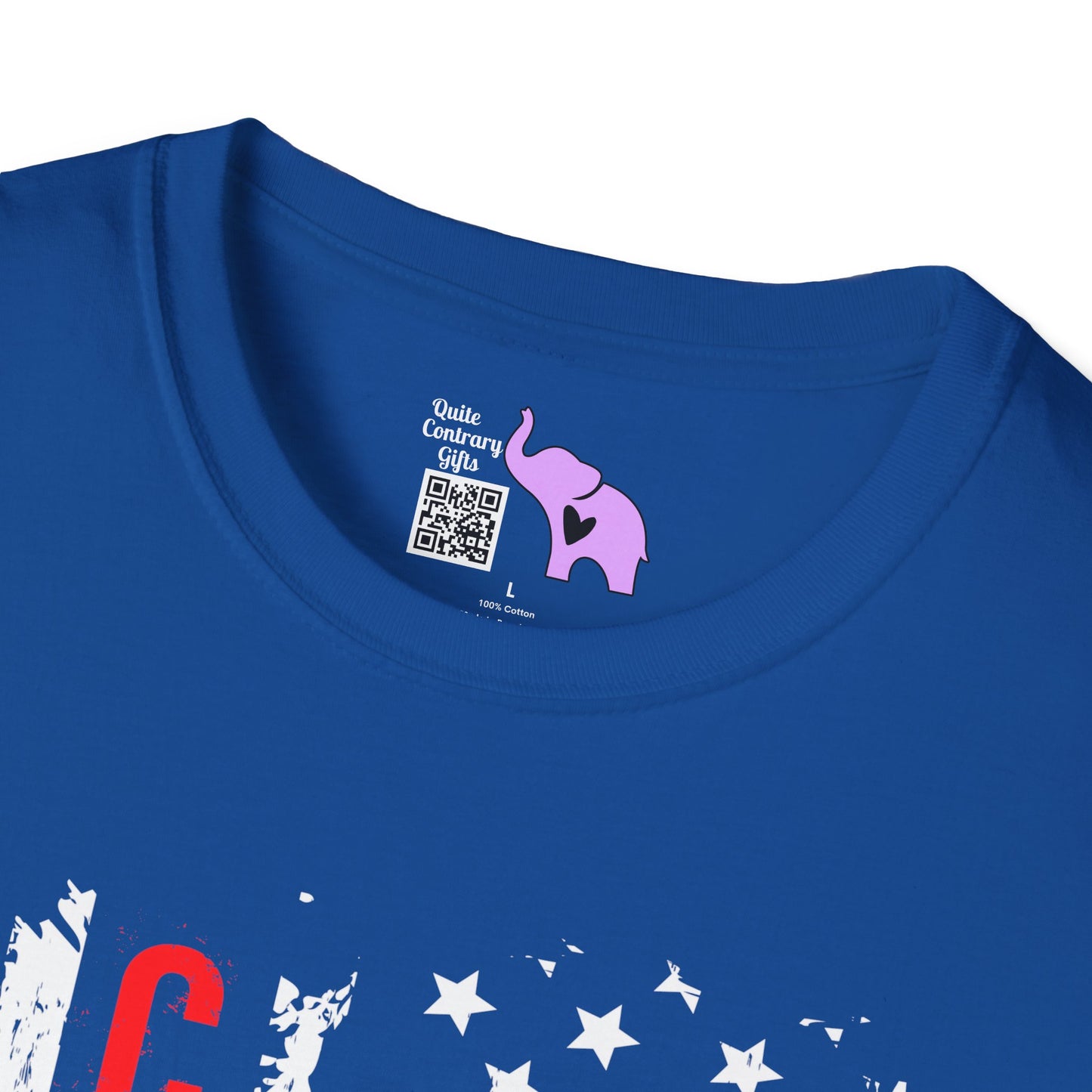 Change American Flag Adult T-shirt