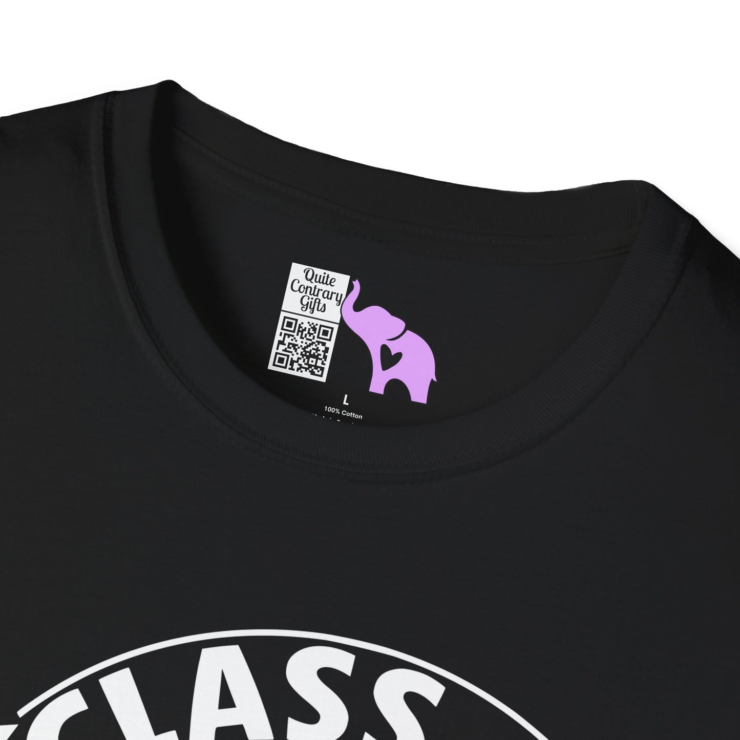 Class of 2027 Senior (Arch) Adult T-shirt