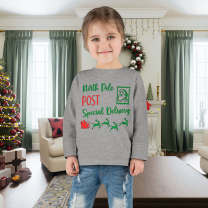North Pole Post Special Delivery Toddler Long Sleeve Tee