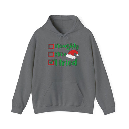 Naughty; Nice; I Tried Adult Heavy Blend™ Hoodie