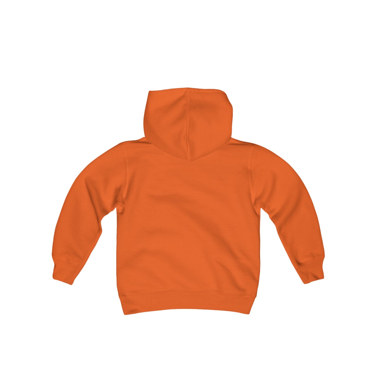 Cool Dinosaur Youth Hoodie