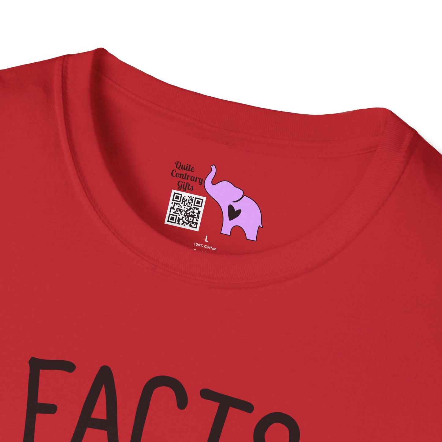 Facts Don't Care About Your Feelings American Flag T-shirt