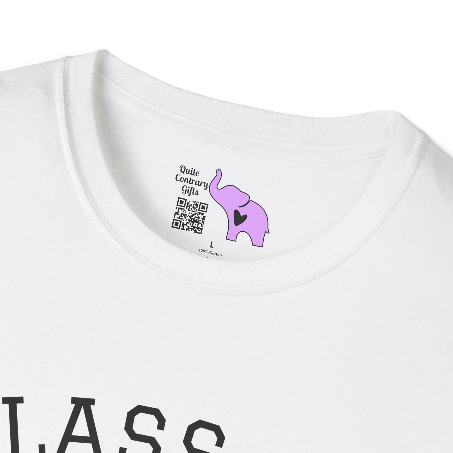 Class of 2038 Unisex Tshirt for 2025/26 Kindergarteners (Style 2)