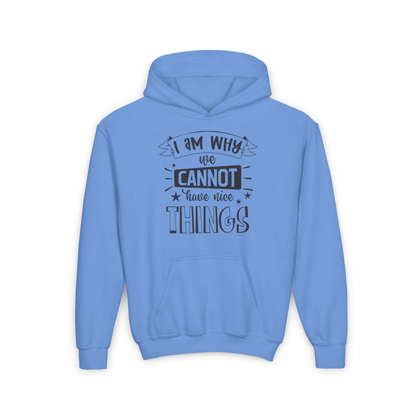 I Am Why We Cannot Have Nice Things Youth Heavy Blend Hoodie